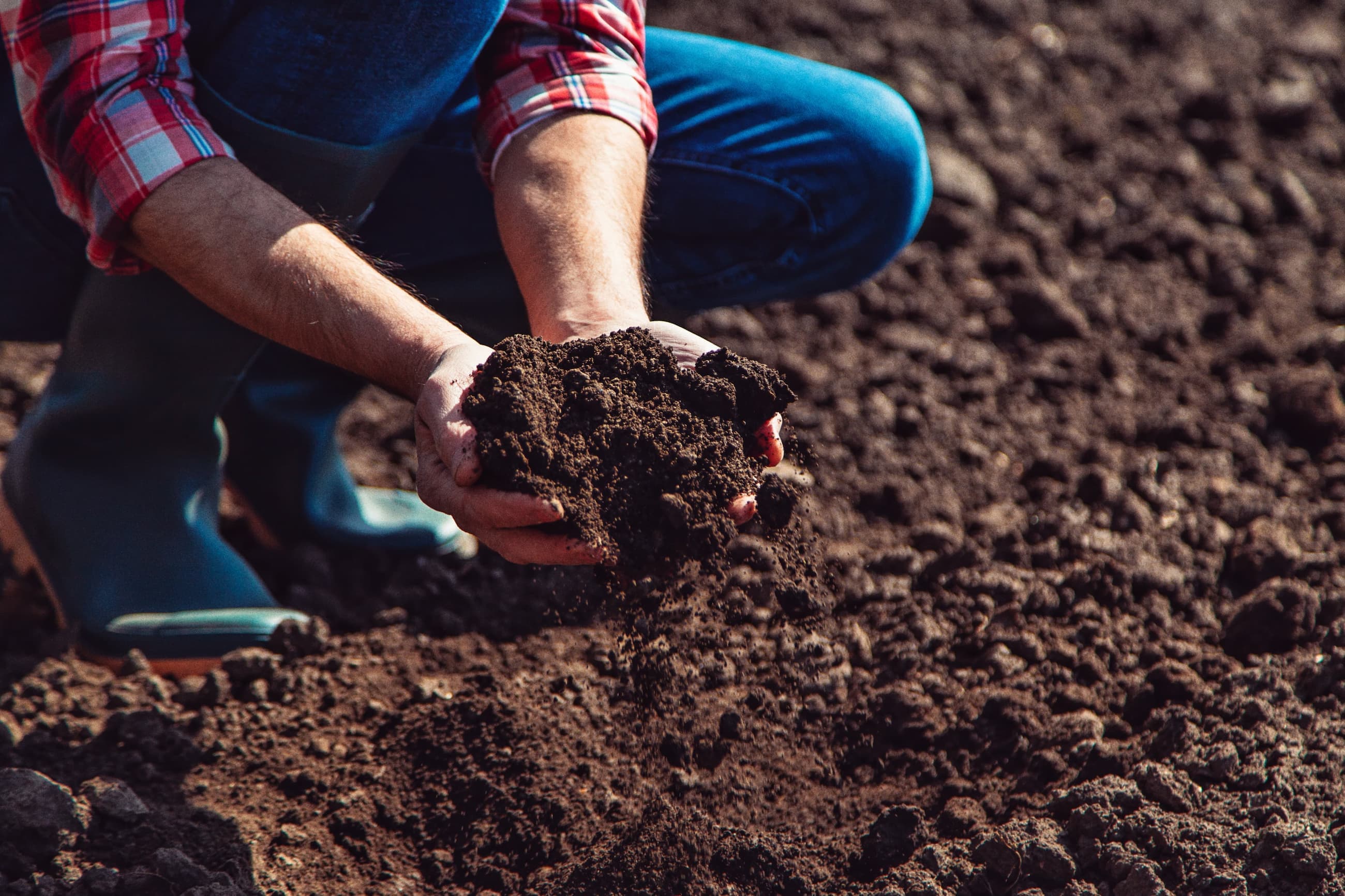 Biochar Background