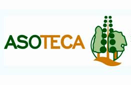 Asoteca
