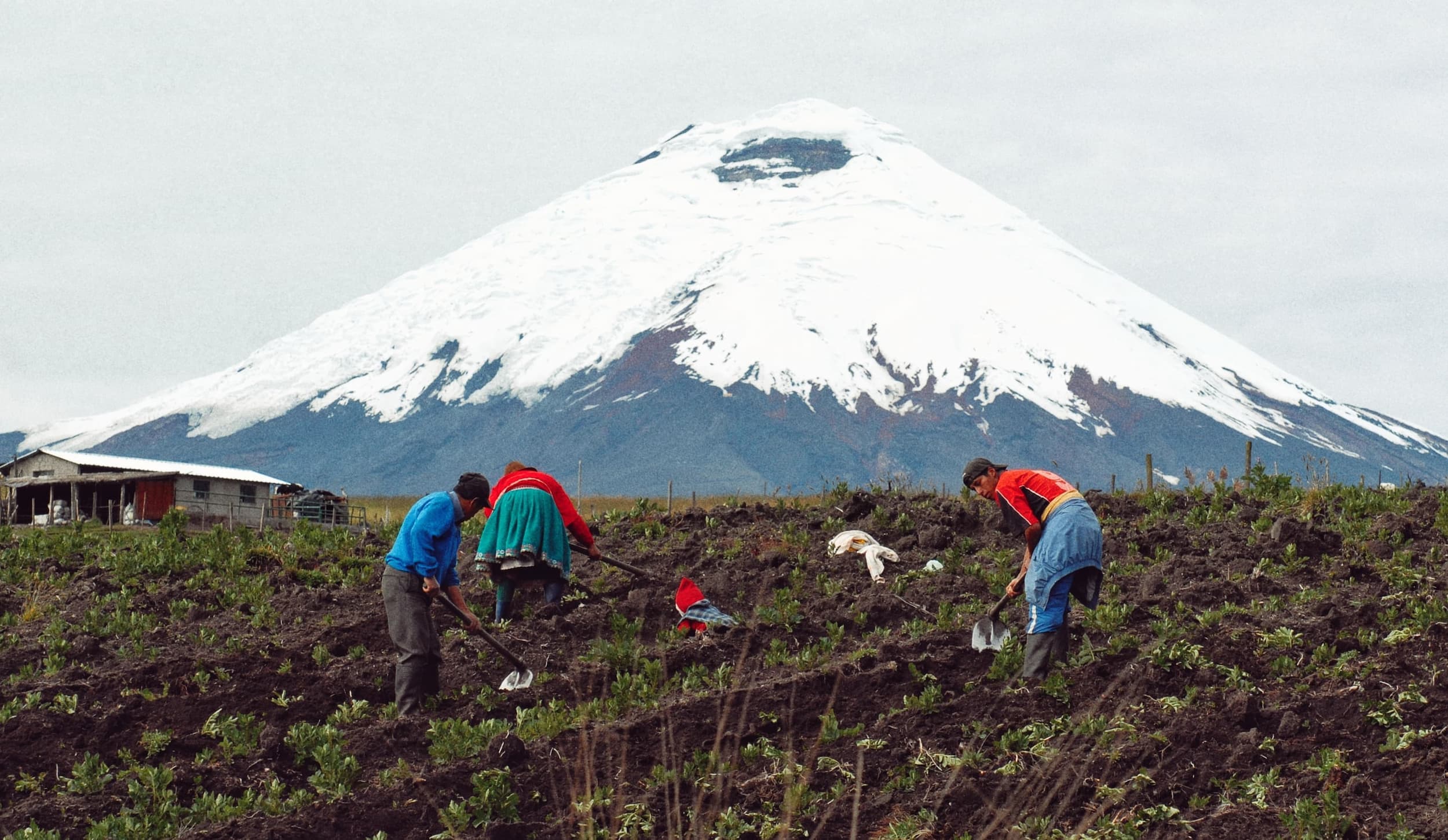 Agricultores de carbono