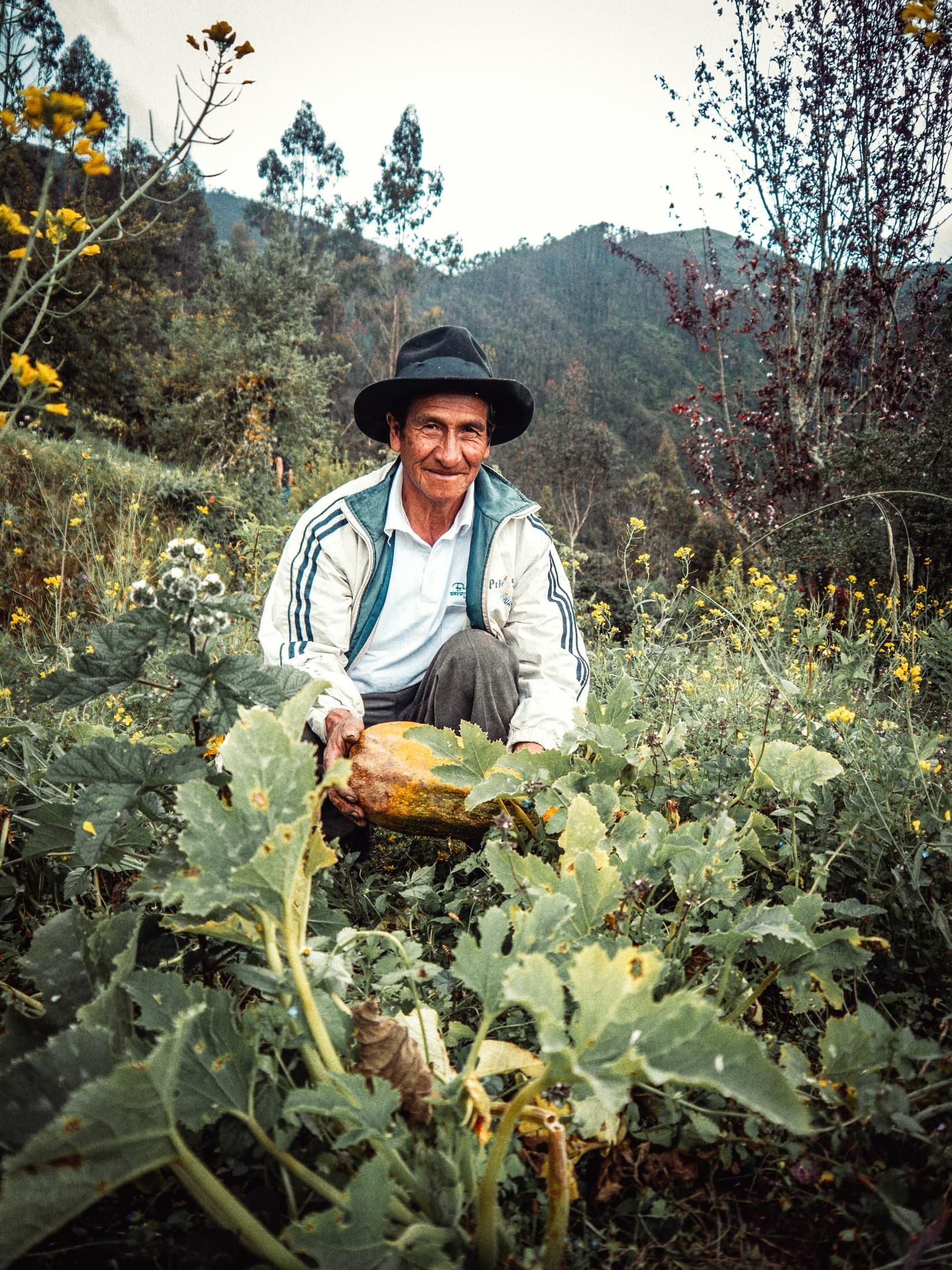 Agricultores de carbono trabajando la tierra