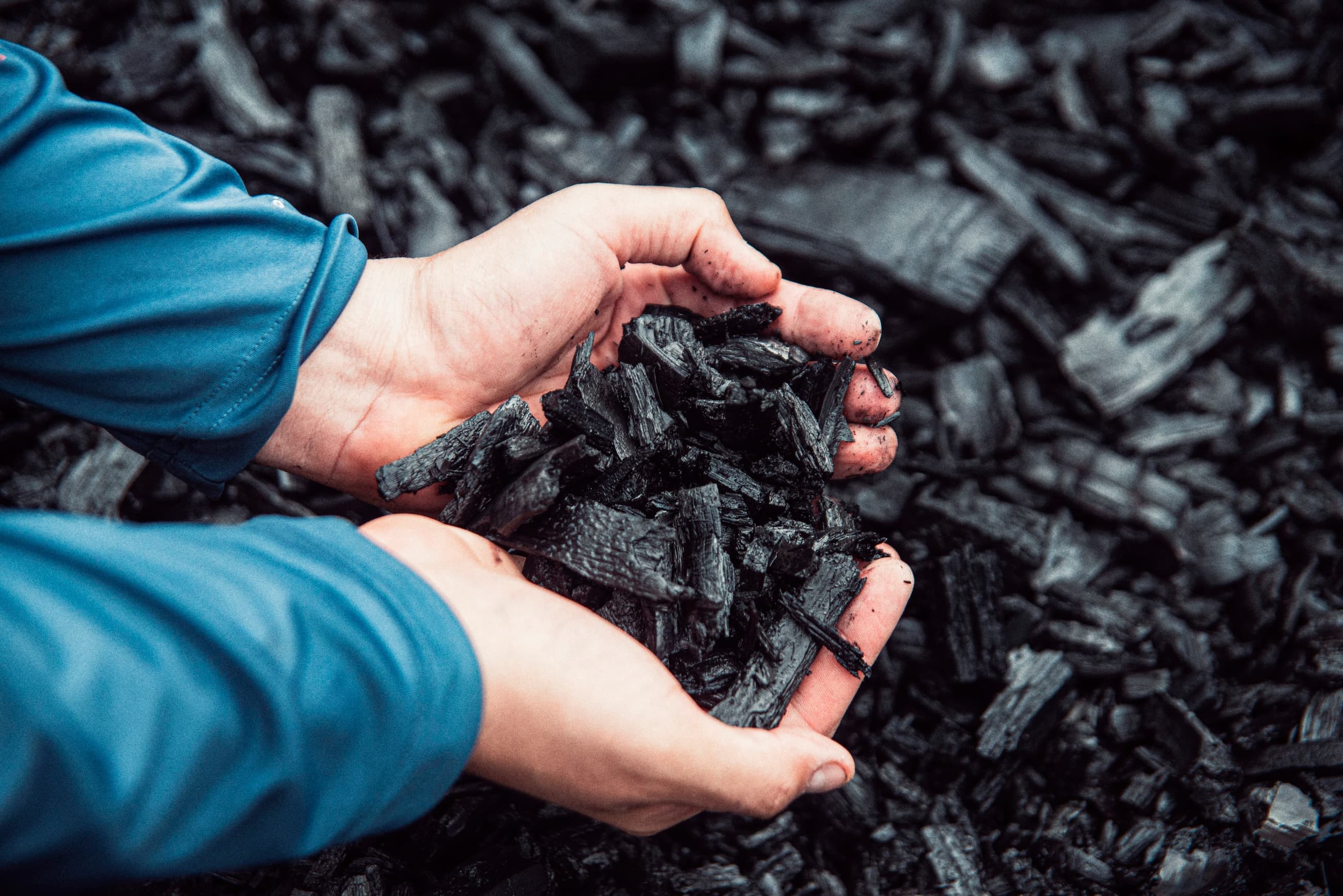 Biochar en mano