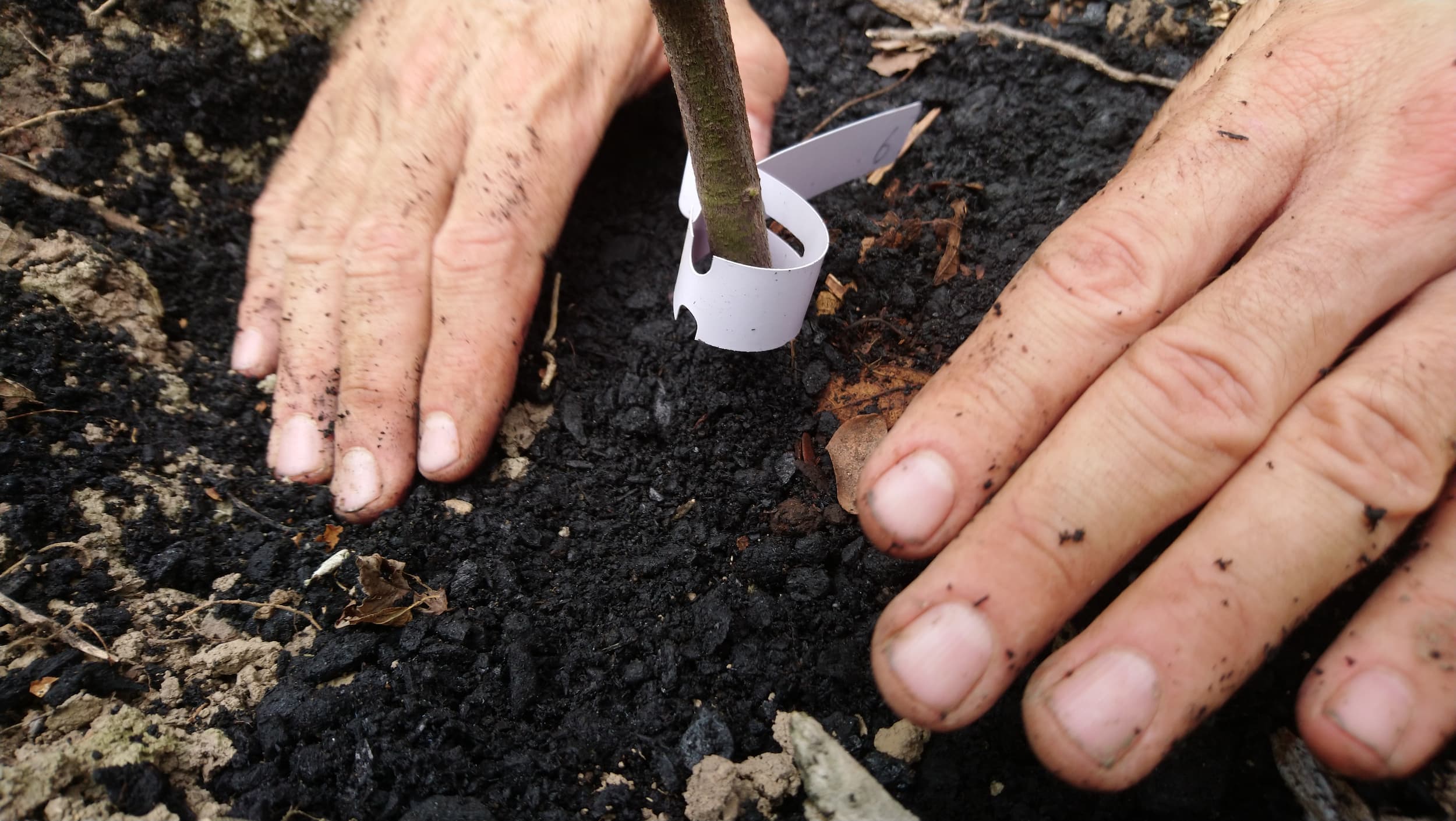 Solución climática escalable con biochar