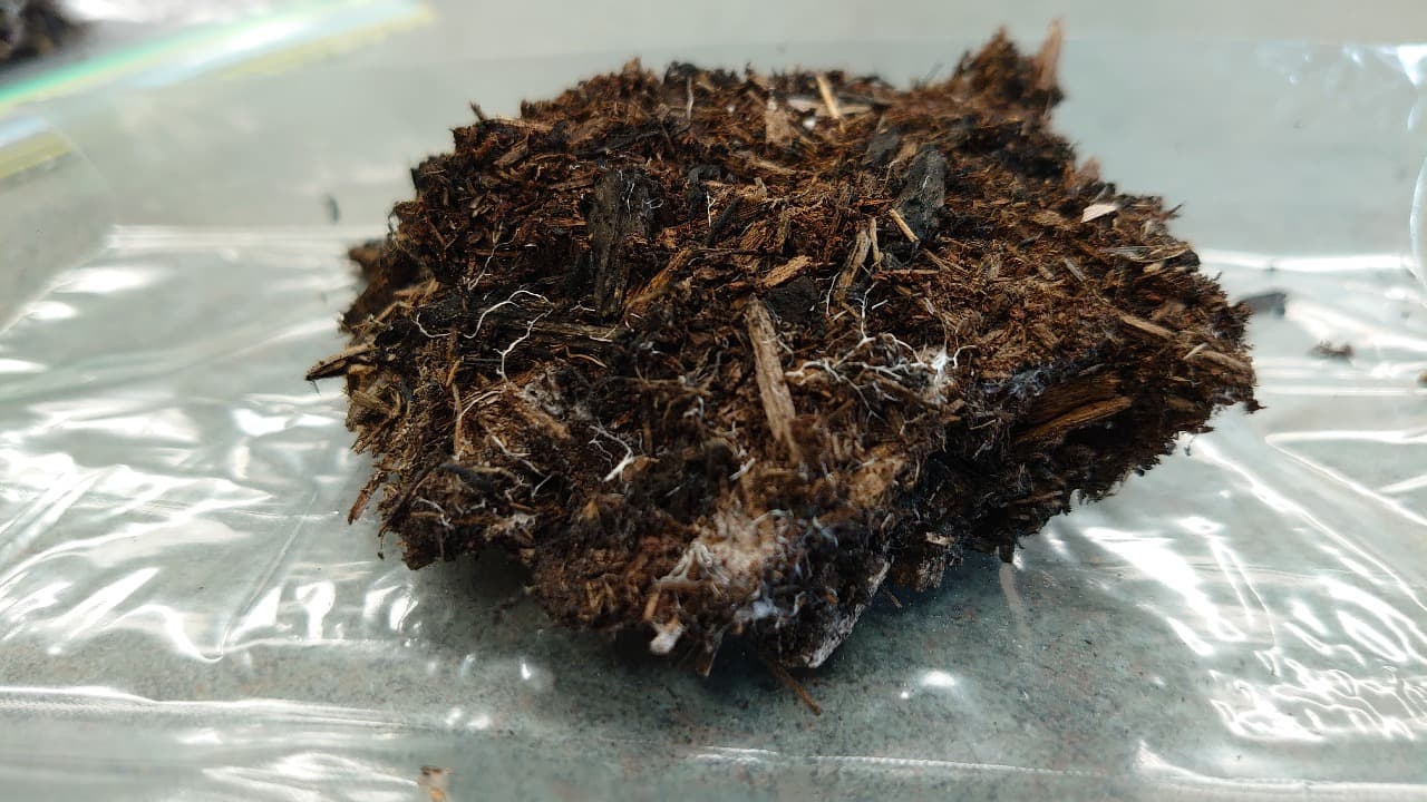 Composición de Bioactive Compost